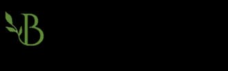 Brazeau Foundation